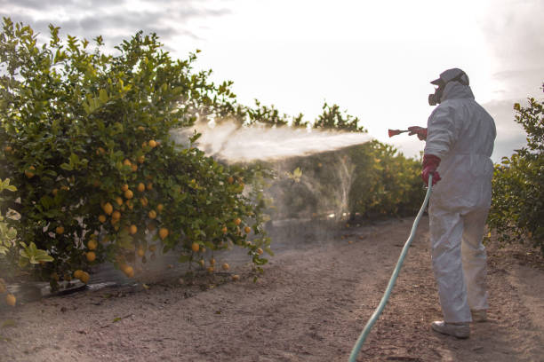 Best Pest Control Near Me in Wanaque, NJ