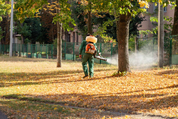 Professional Pest Control in Wanaque, NJ