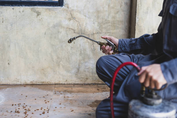 Best Rat Extermination Near Me  in Wanaque, NJ