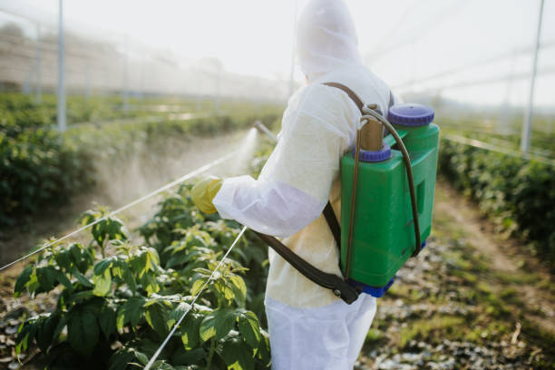 Best Best Pest Control Companies  in Wanaque, NJ
